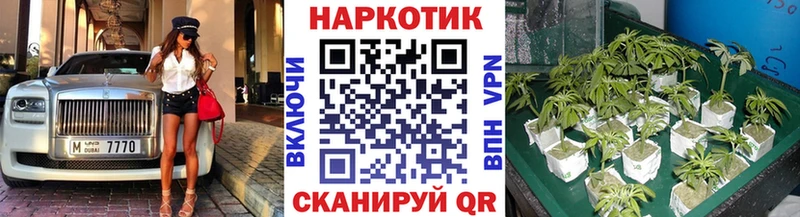 Купить наркотики Брюховецкая АМФЕТАМИН  Галлюциногенные грибы  Alpha-PVP  hydra ссылки  COCAIN  Меф мяу мяу  Каннабис 