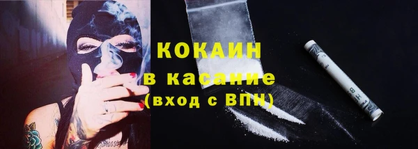мяу мяу мука Богданович