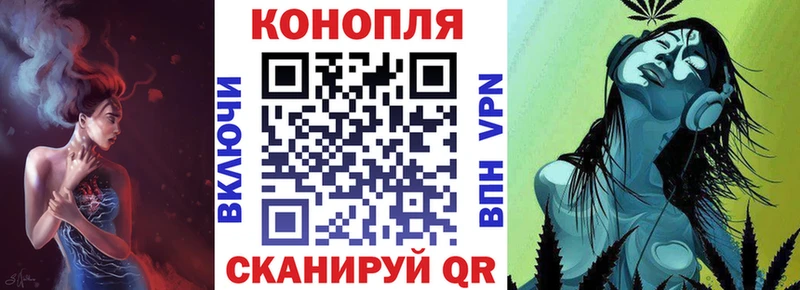 Конопля план Брюховецкая