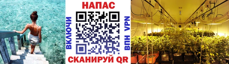 магазин    Брюховецкая  Канабис план 
